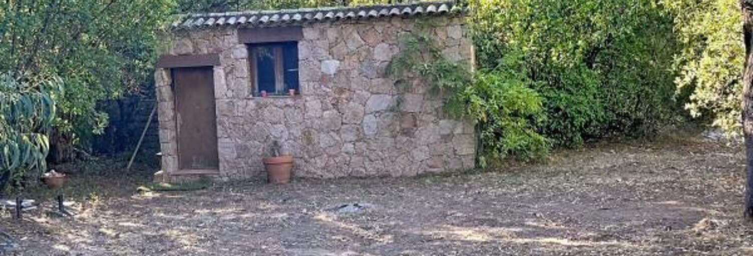 Terrain  1600 m² à vendre à Zonza (20144)