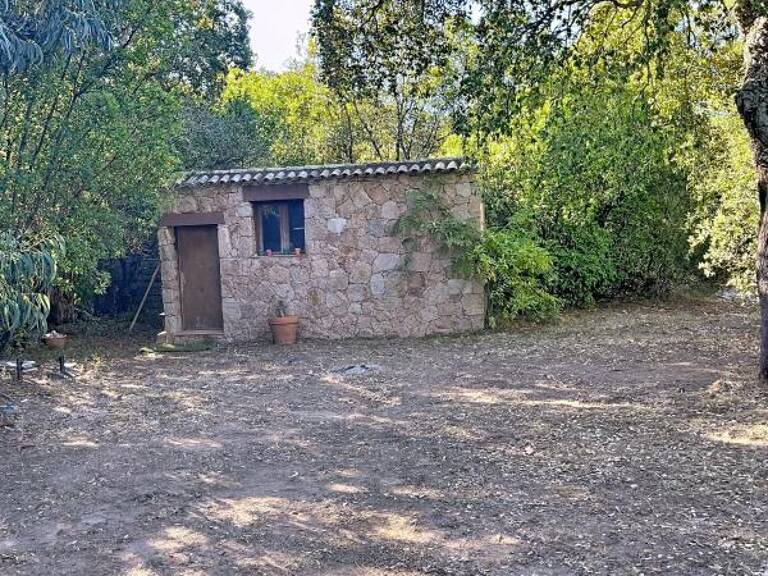 Terrain À Vendre — photo 1