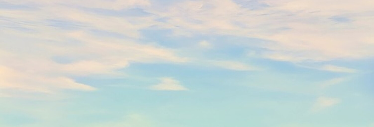 Terrain  1110 m² à vendre à Crozon (29160)