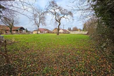 Terrain  38000 €