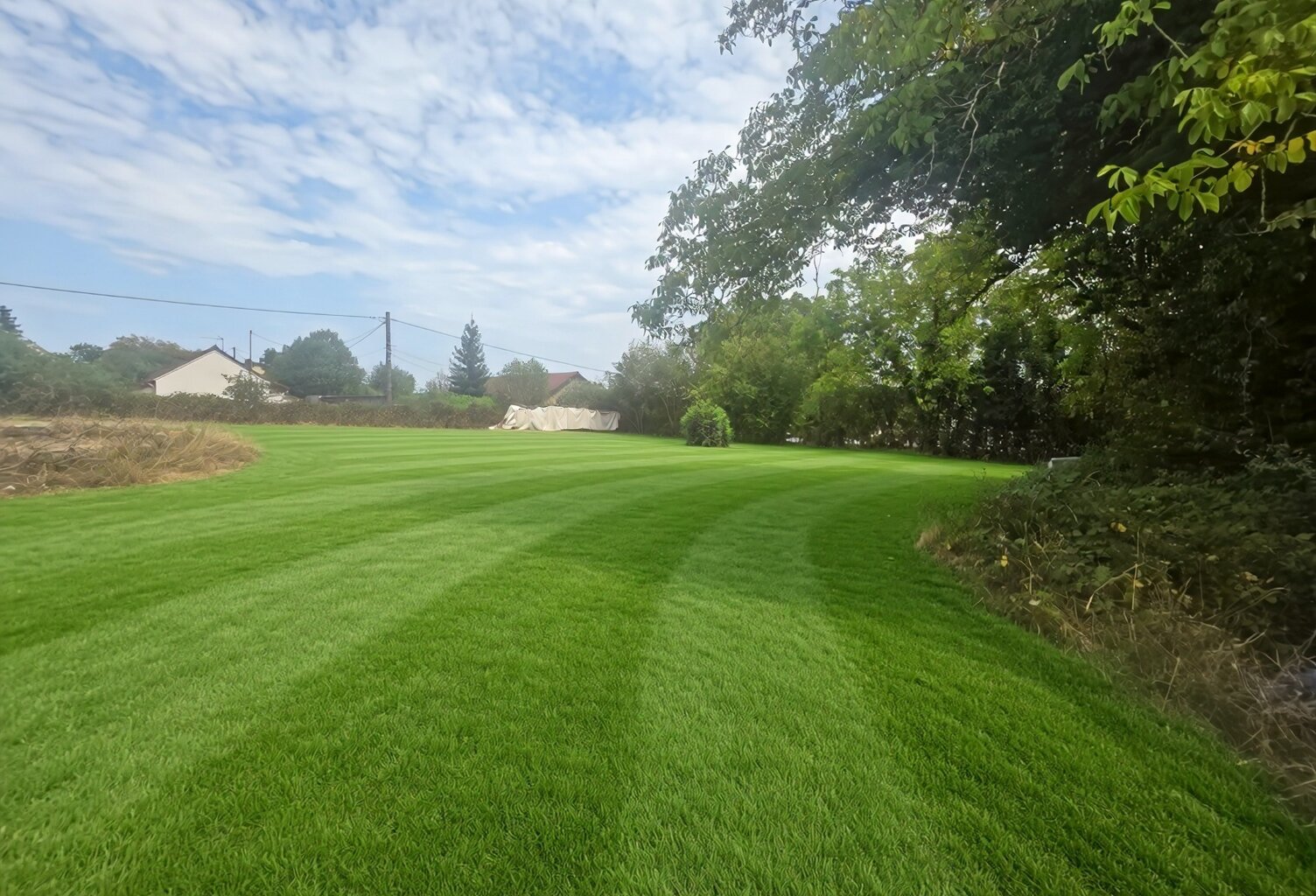 Terrain à vendre de 1 200,00 m² VERS SOUS SELLIERES (39) — photo 1