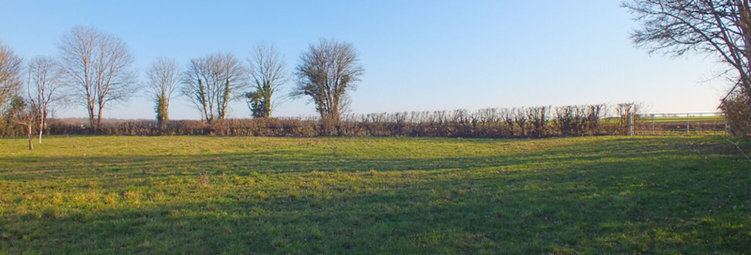 Terrain  5990 m² à vendre à Musigny (21230)