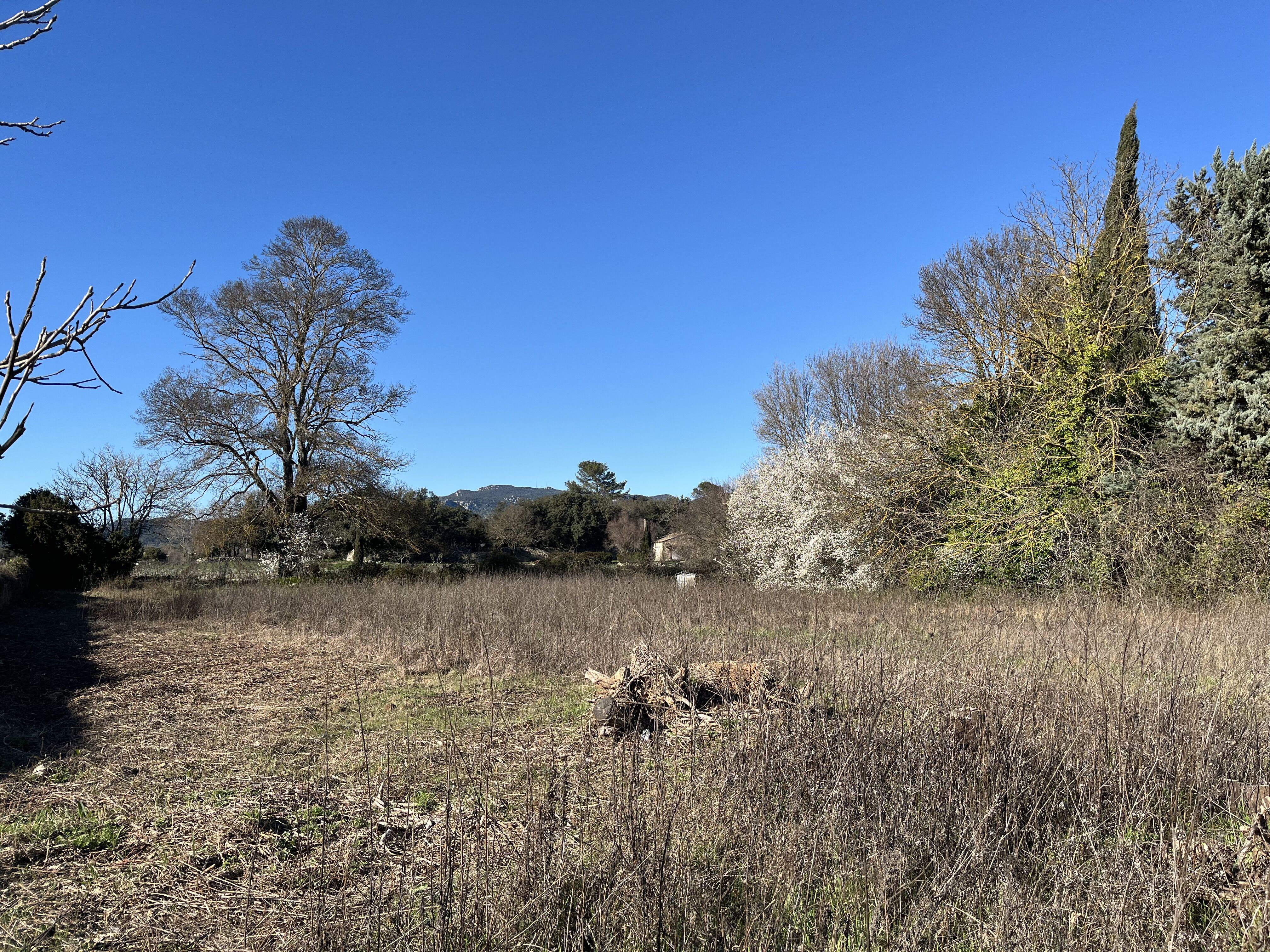 Terrain  à vendre Néoules 83136