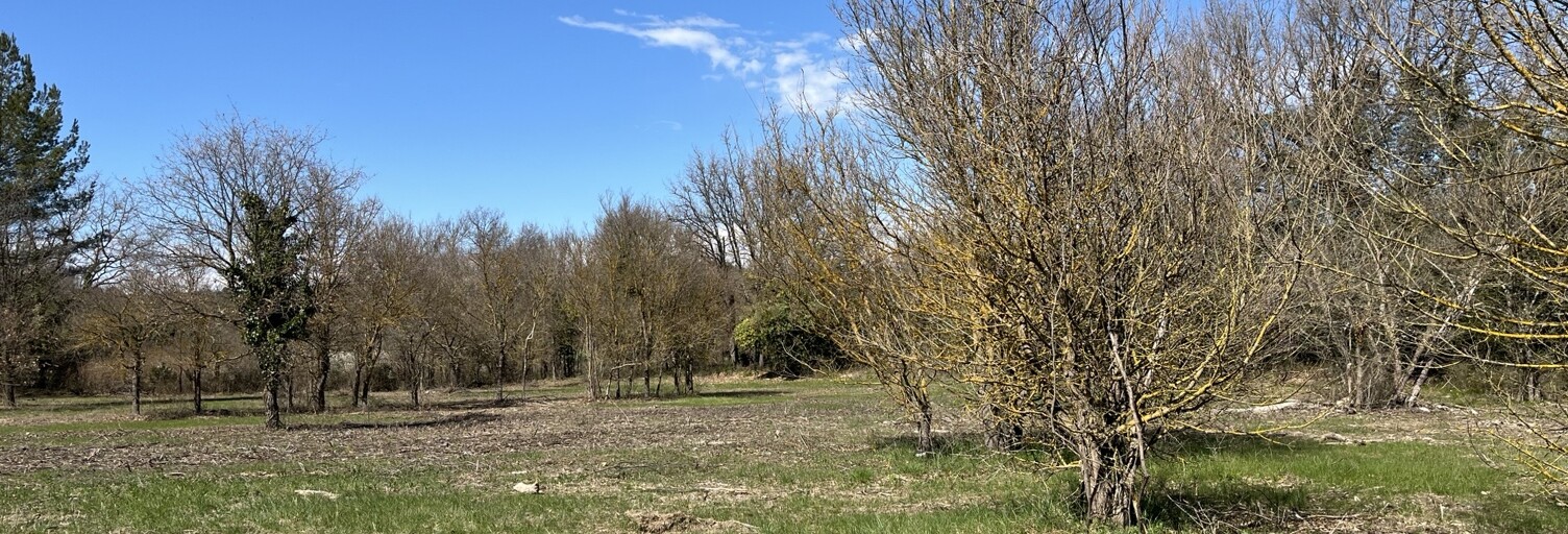 Terrain 2050 m² à construire Saint-Maximin-la-Sainte-Baume (83470)