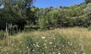 Terrain 1000 m² à construire Camps-la-Source (83170)