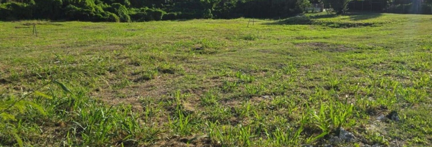 Terrain  631 m² à vendre à Saint-François (97118)