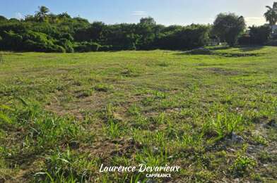 Terrain  137500 €