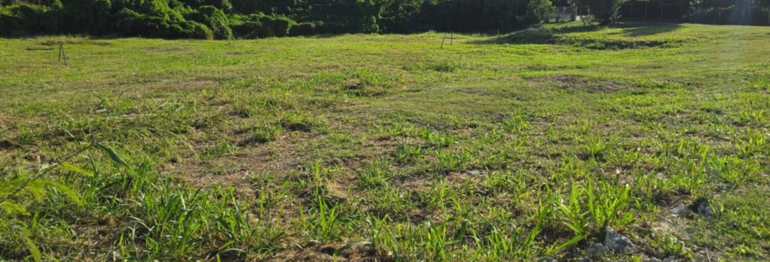 Terrain  631 m² à vendre à Saint-François (97118)
