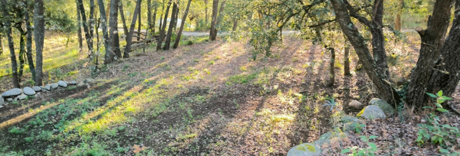 Terrain  1070 m² à vendre à Clara-Villerach (66500)