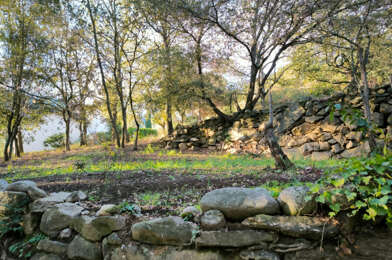 Terrain  59000 €