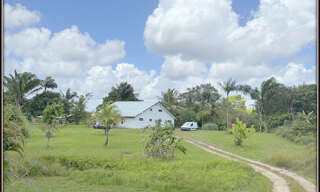 Photo N° 2