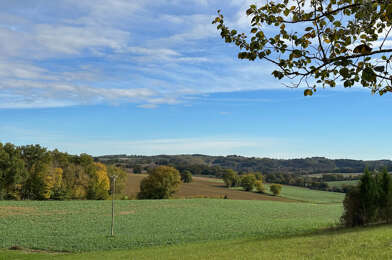 Terrain  29000 €