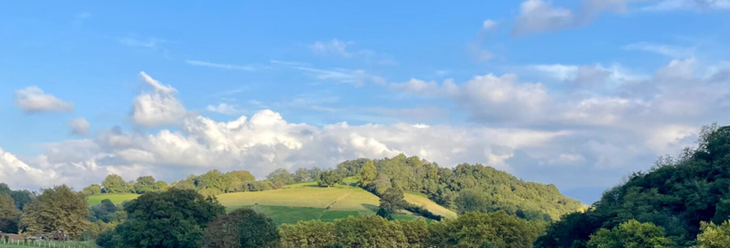 Terrain  2004 m² à vendre à Sare (64310)