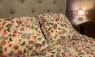 Appartement 2 Pièces 28 m² à louer à Baillargues (34670)