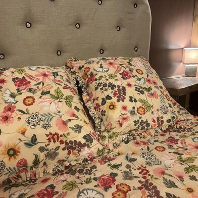 Appartement 2 pièces 680 €