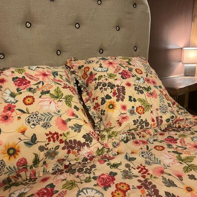 Appartement 2 pièces 680 €