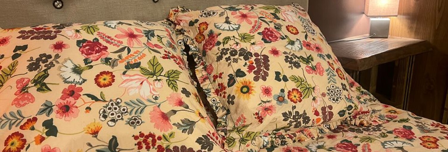 Appartement 2 Pièces 28 m² à louer à Baillargues (34670)