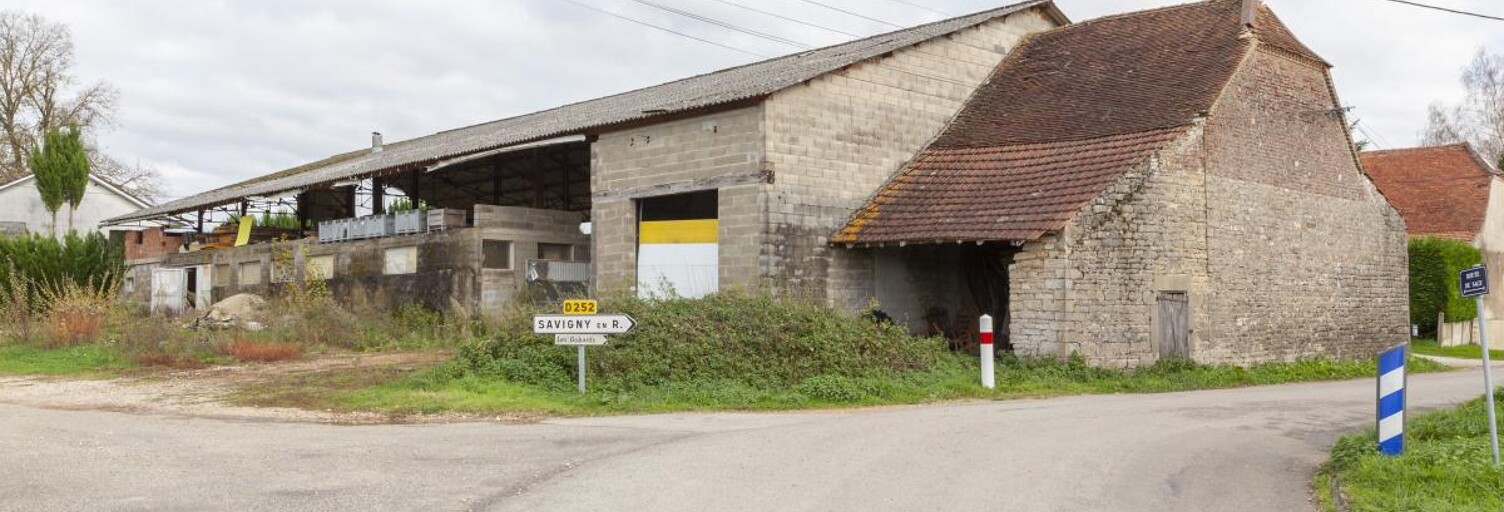 Commerce  1010 m² à vendre à Savigny-en-Revermont (71580)