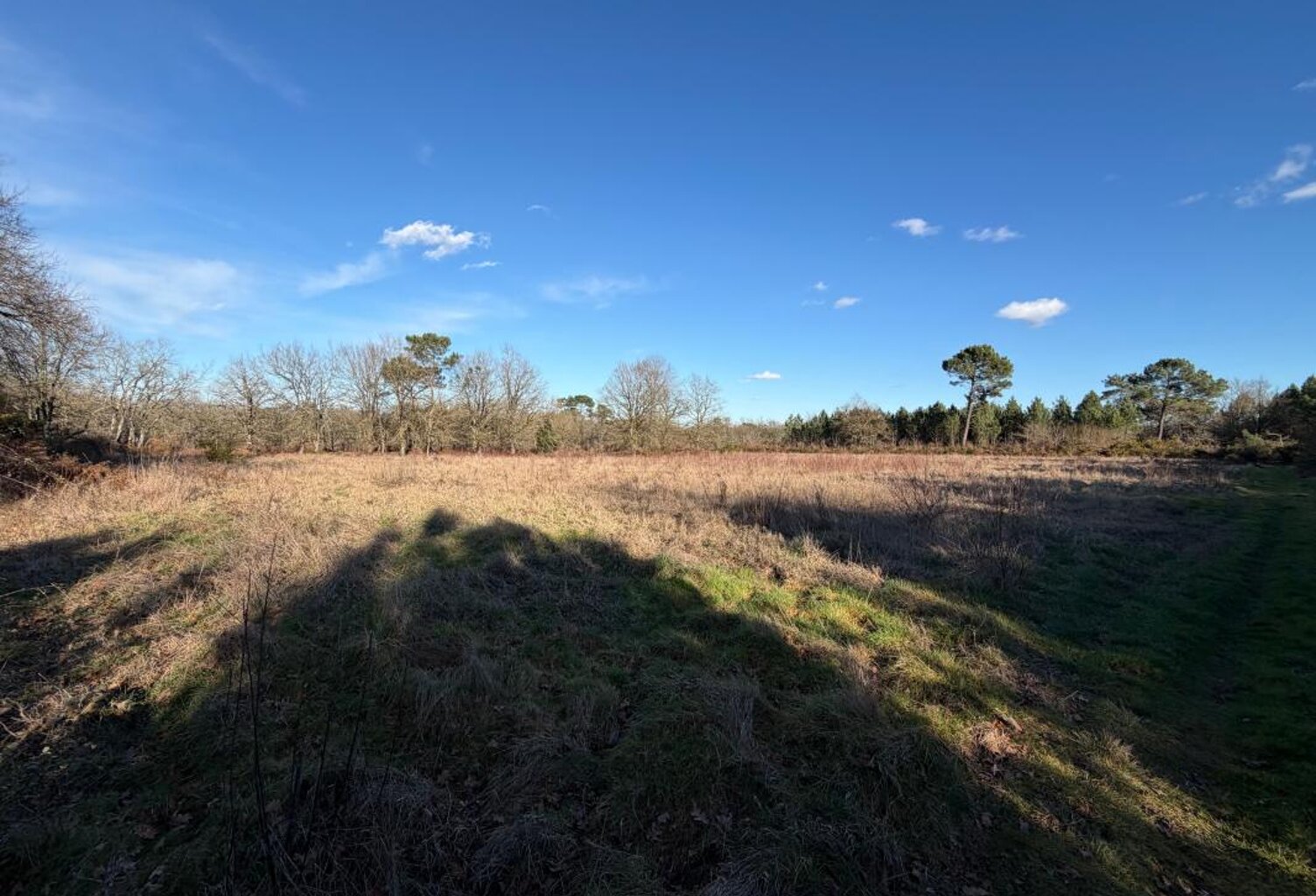 Terrain NON CONSTRUCTIBLE de 8176 m² — photo 1