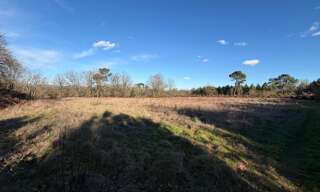 Terrain  8176 m² à vendre à Saint-Sever (40500)