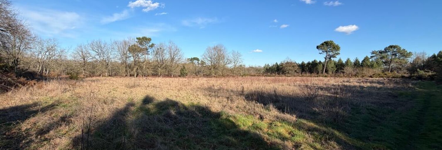 Terrain  8176 m² à vendre à Saint-Sever (40500)