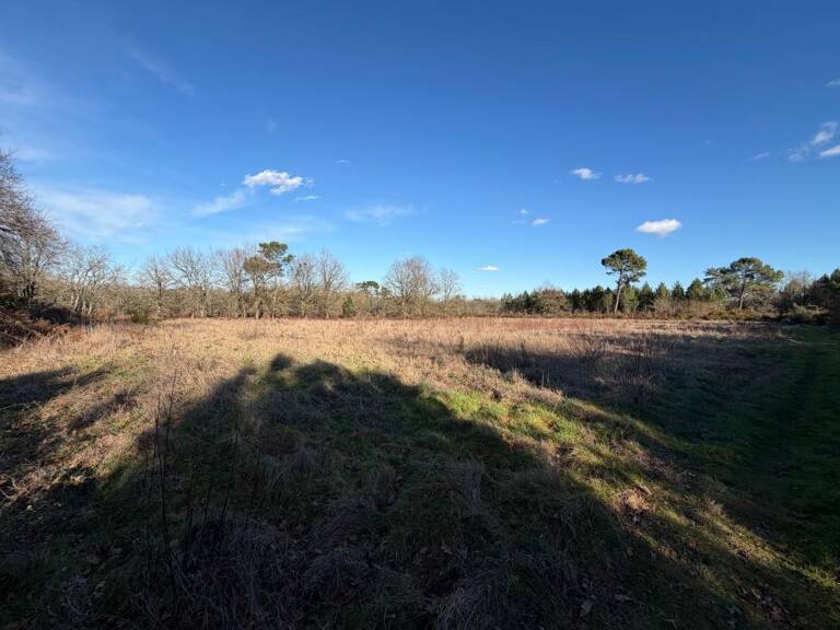 Terrain NON CONSTRUCTIBLE de 8176 m² — photo 1