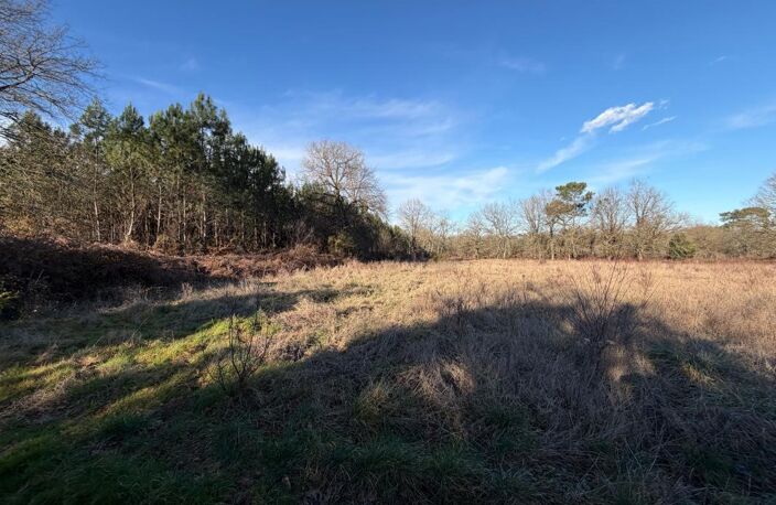 Terrain NON CONSTRUCTIBLE de 8176 m² — photo 3