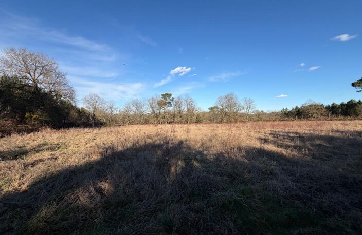 Terrain NON CONSTRUCTIBLE de 8176 m² — photo 4