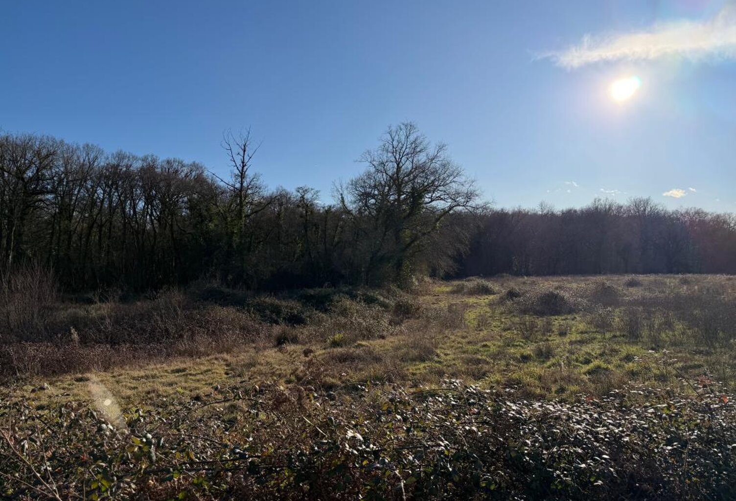 Terrain de loisirs de 12245 m² à Saint Sever non constructible — photo 1
