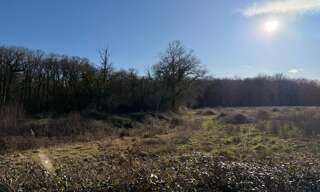 Terrain  12245 m² à vendre à Saint-Sever (40500)