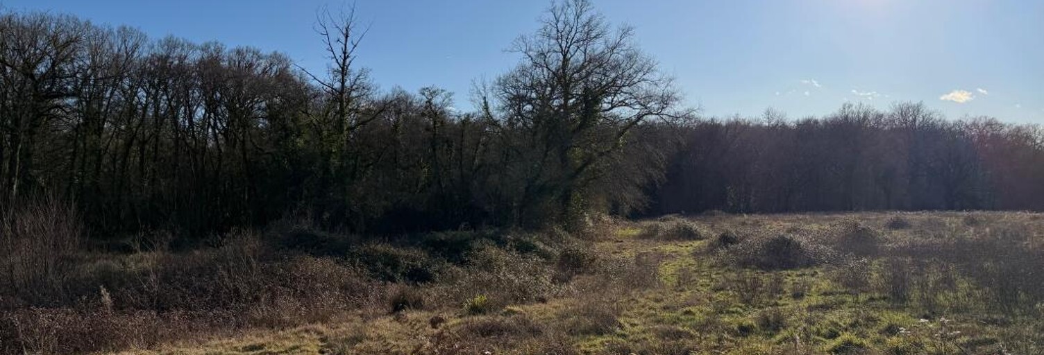 Terrain  12245 m² à vendre à Saint-Sever (40500)