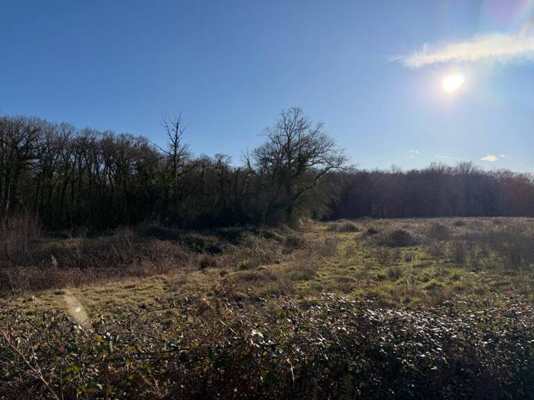 Terrain de loisirs de 12245 m² à Saint Sever non constructible — photo 1