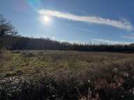 Terrain de loisirs de 12245 m² à Saint Sever non constructible — photo 2