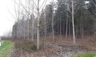 Maison  17160 m² à vendre à Cauzac (47470)