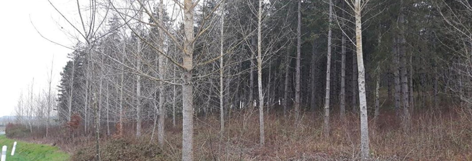 Maison  17160 m² à vendre à Cauzac (47470)