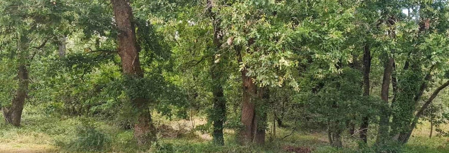 Terrain  1242 m² à vendre à Soulac-sur-Mer (33780)