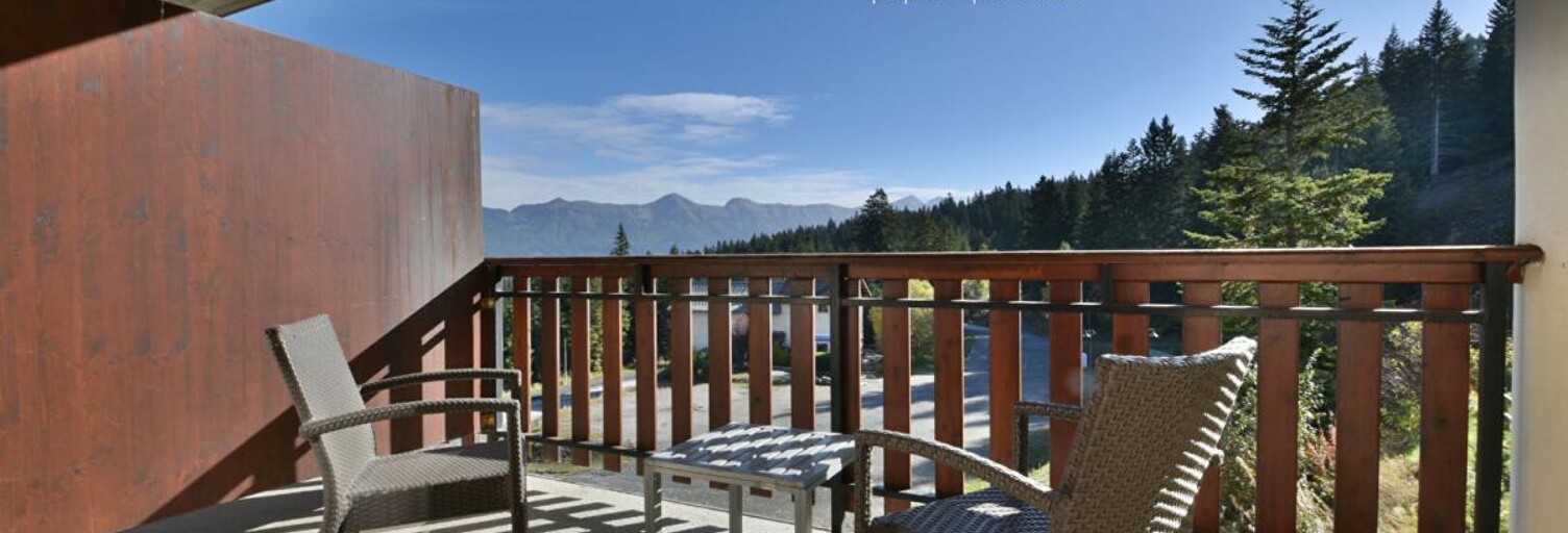 Appartement 1 Pièce 23 m² à vendre à Selonnet (04140)