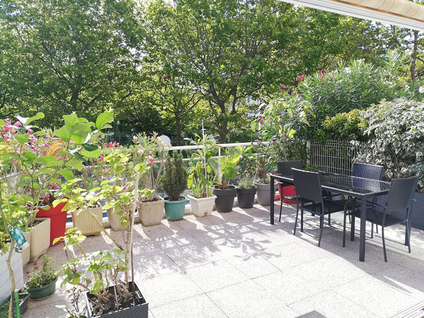 Appartement  T3 à vendre Grande-Motte (La) 34280