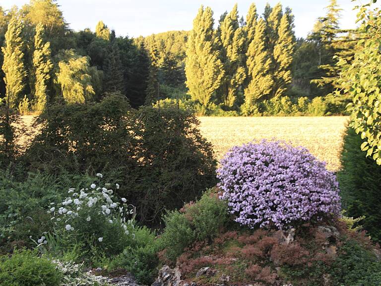 BELLE MAISON A VISITER ! - DPE C — photo 1