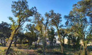 Terrain 650 m² à construire Châteauneuf-du-Pape (84230)