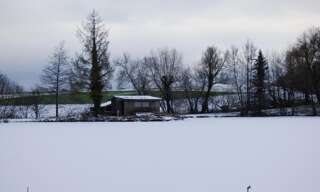 Terrain  13730 m² à vendre à Balschwiller (68210)