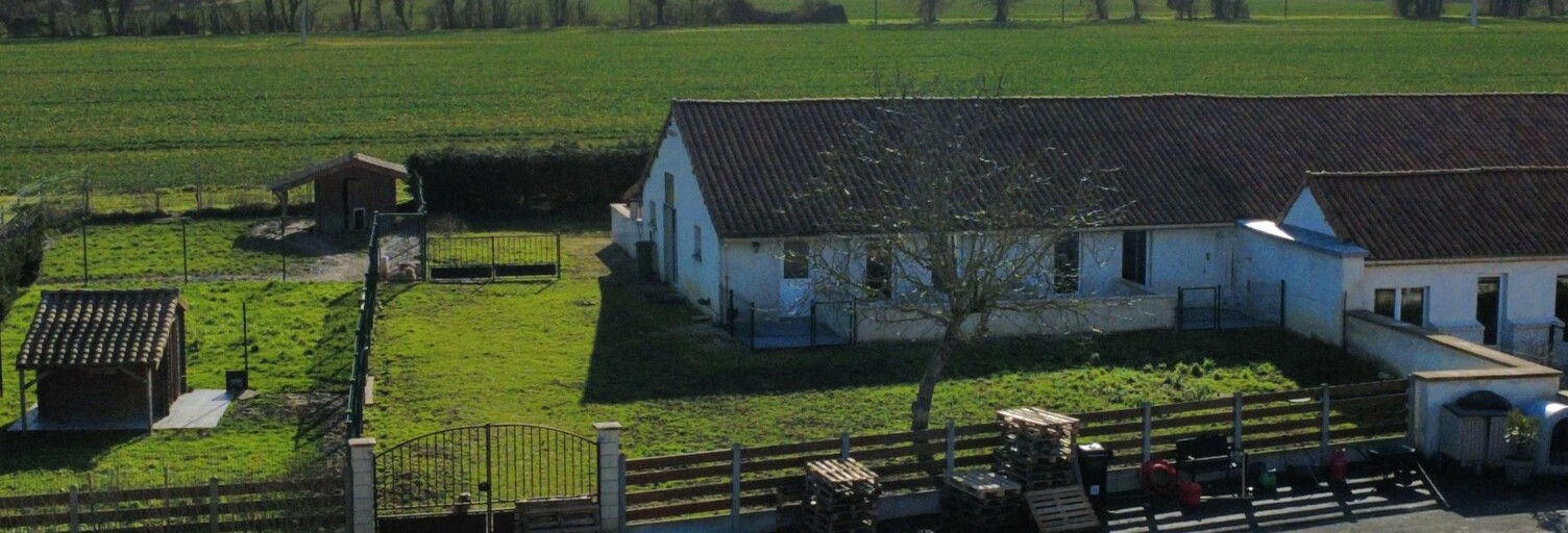 Photo N° 2