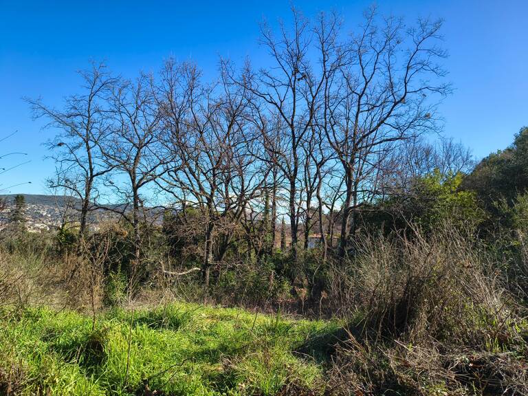 Terrain à bâtir à Draguignan  — photo 1