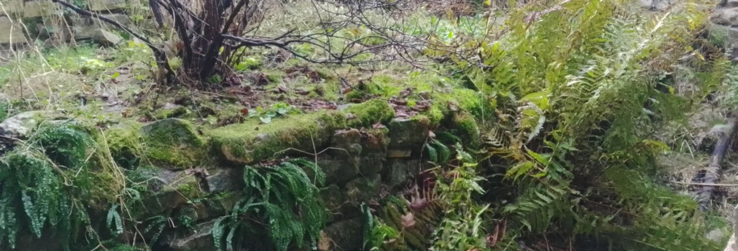 Maison 4 Pièces 100 m² à vendre à Gripport (54290)