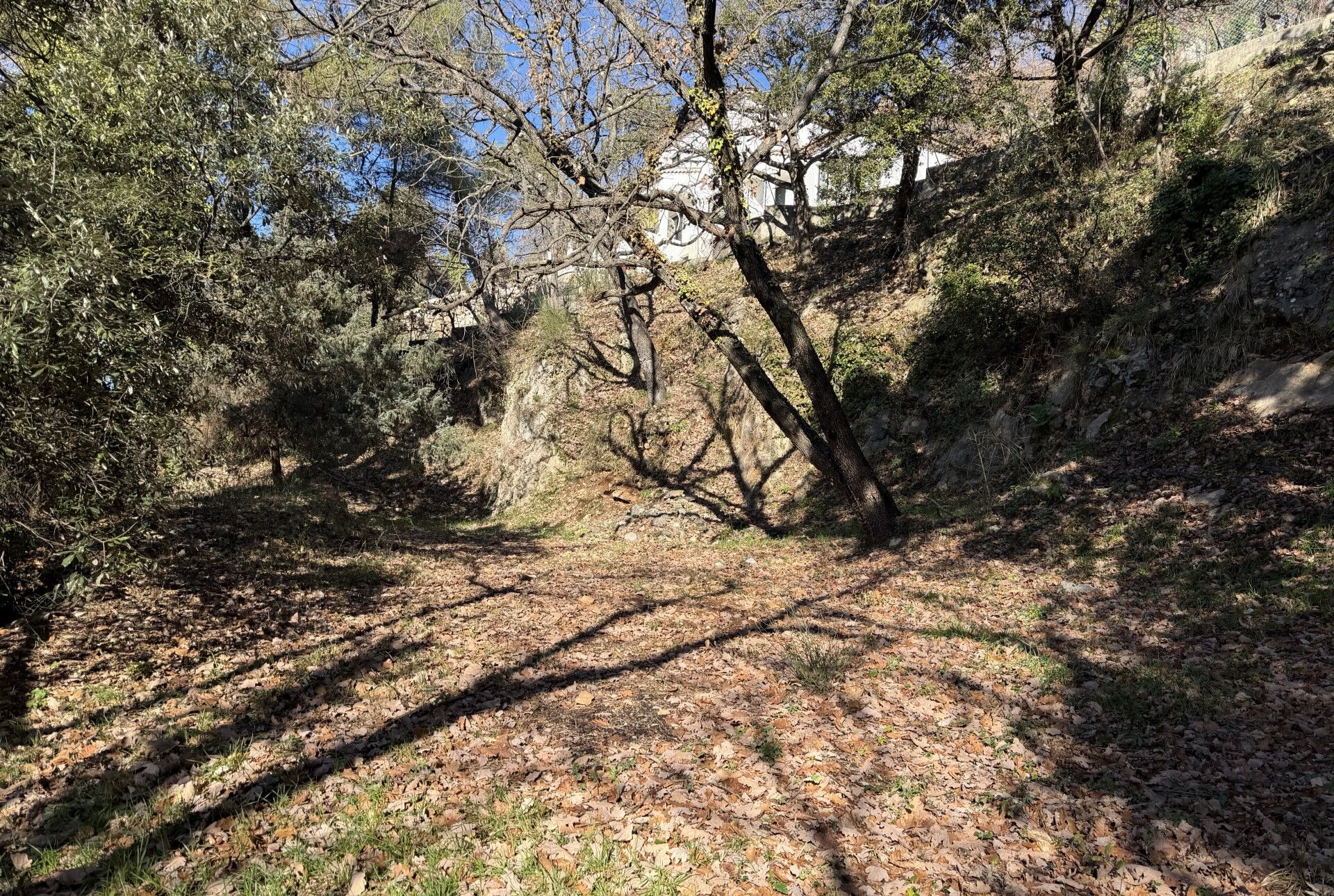 Photo Terrain Aspremont