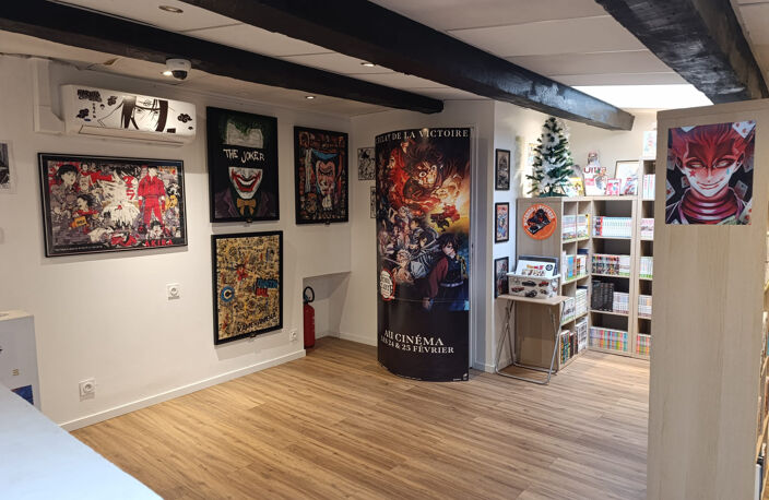 CESSION FONDS DE COMMERCE   FIGURINES / BD / MANGA / COMICS — photo 3