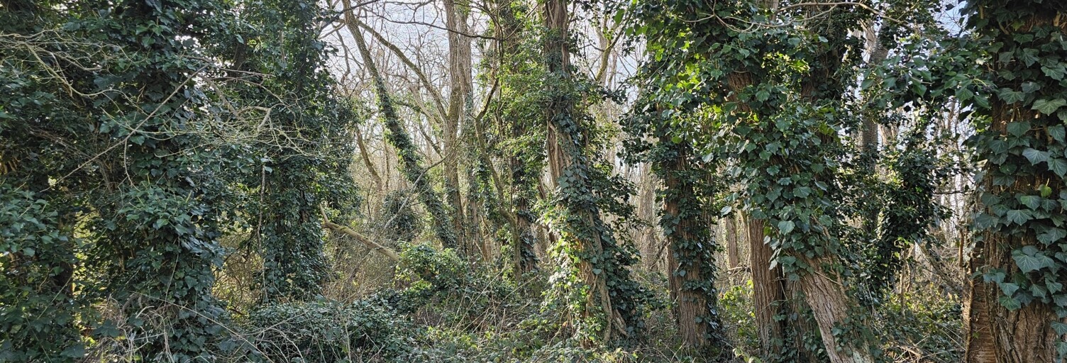 Terrain  22854 m² à vendre à Villebéon (77710)