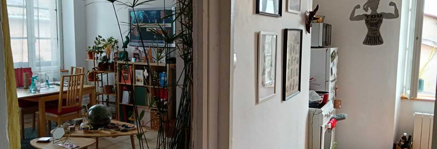 Appartement 2 Pièces 51 m² à louer à Rabastens (81800)