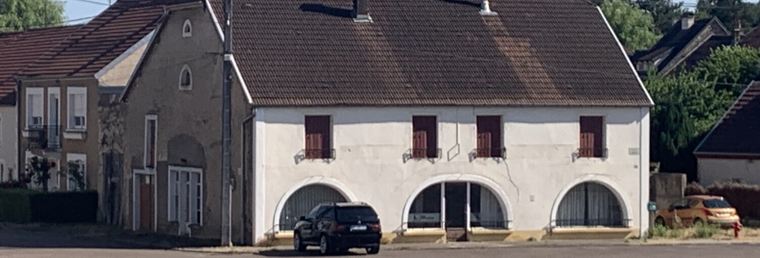 Maison 8 Pièces 228 m² à vendre à Haute-Amance (52600)
