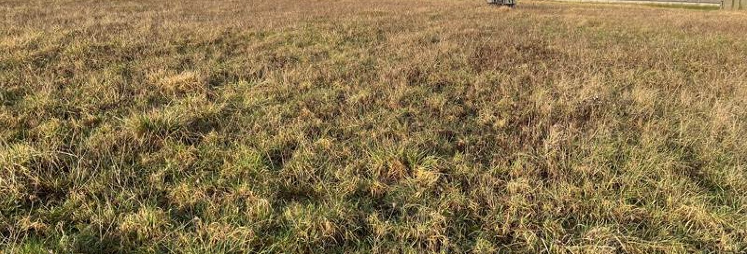 Terrain  1119 m² à vendre à Angé (41400)